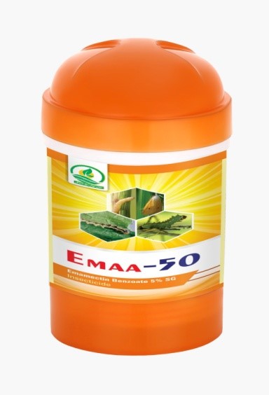 EMAA – 50